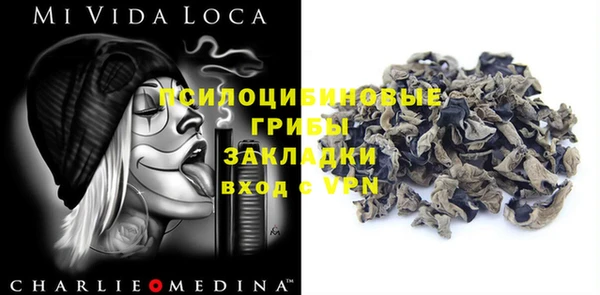 PSILOCYBIN Волосово