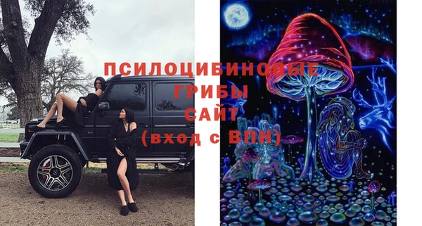 PSILOCYBIN Волосово
