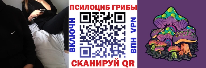 Псилоцибиновые грибы Psilocybine cubensis Иннополис