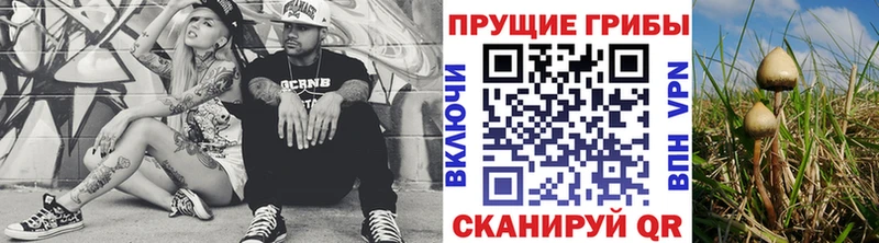 купить Иннополис Псилоцибиновые грибы GOLDEN TEACHER